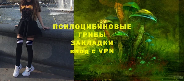 не бодяженный Алзамай